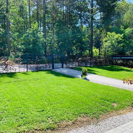 Ferienhaus 2 Im Harz Niehoff Darlingerode Ngoại thất bức ảnh