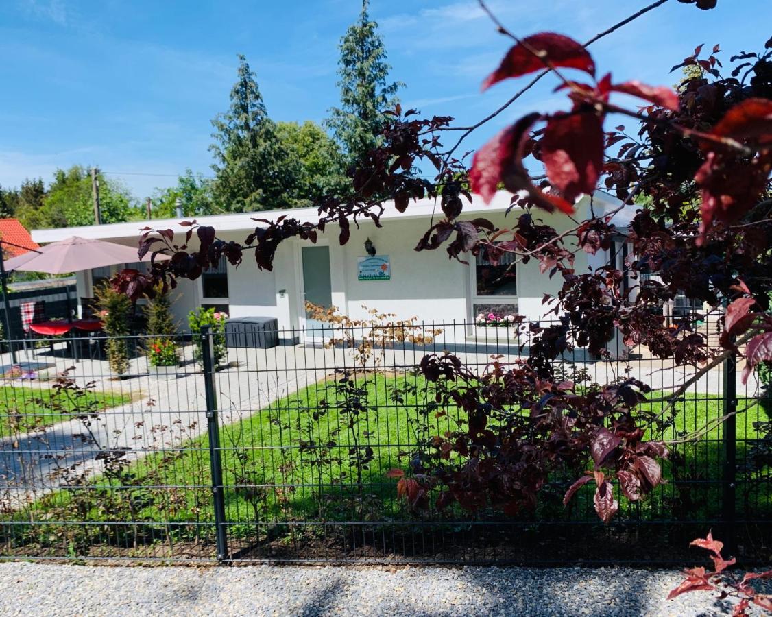 Ferienhaus 2 Im Harz Niehoff Darlingerode Ngoại thất bức ảnh