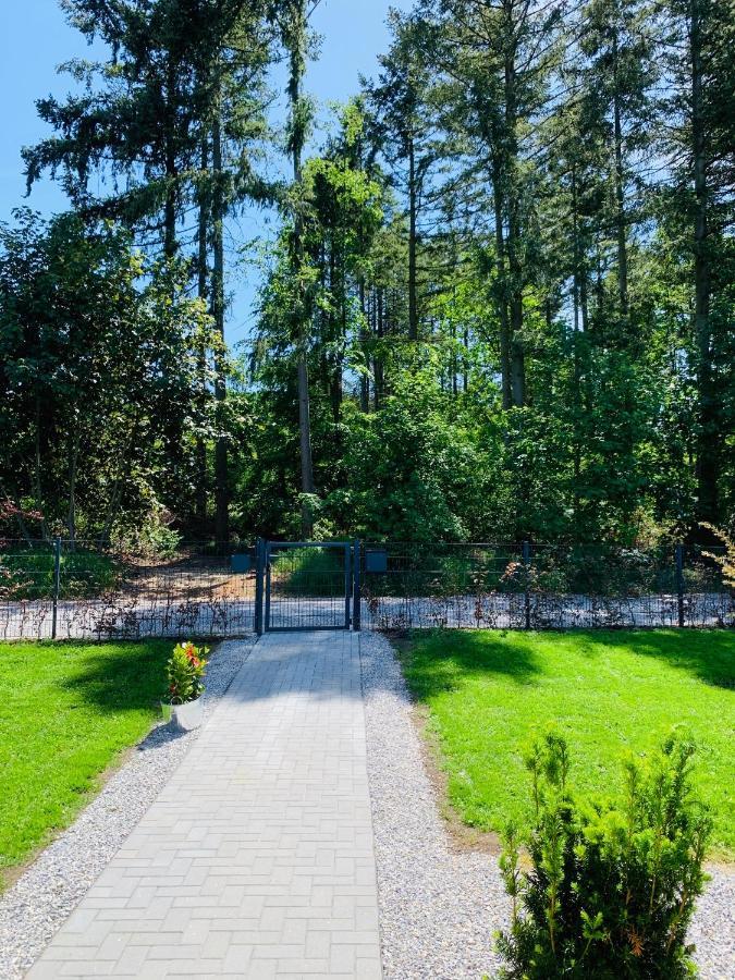 Ferienhaus 2 Im Harz Niehoff Darlingerode Ngoại thất bức ảnh